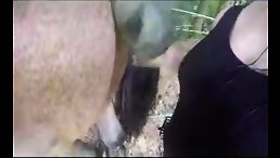 Horse Finger Fucking: A Wild and Free Animal Sex Experience!