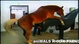 Caught on Camera: Shocking Horse Porn Video Shakes the Internet!