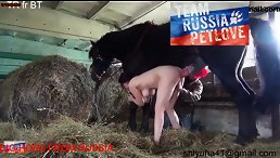 Shocking Video: Hot Lady Caught Having Passionate Sex With a Horse in Stable!