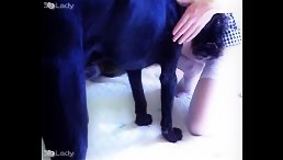 Woman Experiences Incredible Pleasure When Her Pet Gives Her a Deep Pussy Massage!