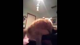 The Unbelievable Shock of Cam Fucking a Dog!