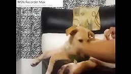 Amateur Girl Performs Dog Sex on Live Cam - Watch Now!