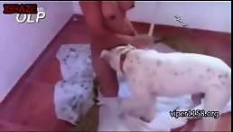 Heartbreaking Moment: Lonely Girl Suffers Unspeakable Abuse from a Dog