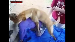 Golden Dog Unveils the Incredible: Super Dick Inside Tiny Pussy Girl!