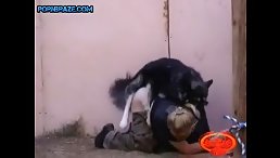 Watch How a Human Teaches a Dog to Respect Women - Animal Porn Free!