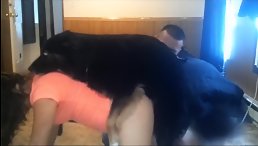 Big Dog's Wild Foursome: A Voyeur's Delight - Dog Porn at Its Finest!
