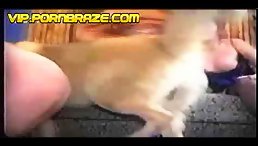 Horrifying Animal Porn HD: Best Girl Rape by Monstrous Dog!