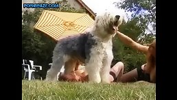 Saucy Redhead Gets Rumping from Shaggy Dog Lucky - Animal Porn for Free!