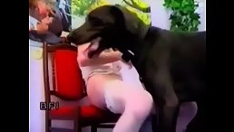 Intimate and Unconventional: A Love Story between a Black Dog and His Human Owner.
