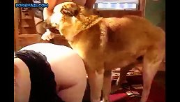 Hot Ass Loving Fucked By Dog: A Story That Will Make You Scratch Your Head!