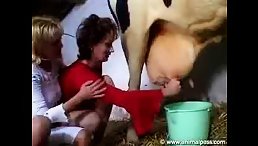 Wild Dirty MILF Women Engage in Unbelievable Group Sex with Horse and Cow!