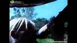 Outrageous Outdoor Adventure: Free Cock Riding with Horses!
