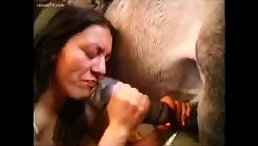 Girl Experiences the Wildest Sexual Encounter - Fucking a Horse and Drinking its Cum!