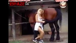 Blonde Girl Takes on a Big Challenge: Blowing a Horse's Dick!
