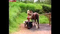 Blond Beauty Experiences the Wild Ride of a Lifetime with Horse Porn!
