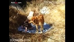 Unbelievable: Dog Escorts Girl Home After Wild Outdoor Encounter!
