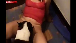 Good Dog Gets His Reward: Creamy Pussy Woman!