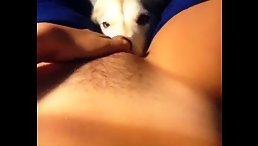 Shockingly Cute: The Adorable Pet Licking Pussy Phenomenon