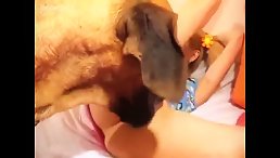 Teen Girl's Wild Ride: Watch an HD POV Dog Sex Experience!