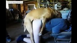 Incredible Sight: Golden Dog Fulfilling Every Fantasy with White Girl!