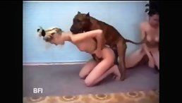 Wild and Naughty: Women Engage in an Unbelievable Animal Orgy!