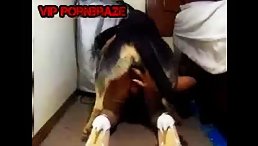 Shock and Horror: School Girl Brutally Fucked by Dog!