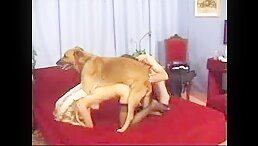 Three's a Crowd: Couple Gets Threeway Fucking in Dog Sex Videos!