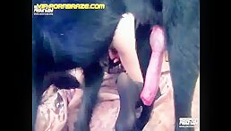 Experience the Unbelievable Sensation of a Huge Cock Dog Deep Inside Your Mouth!